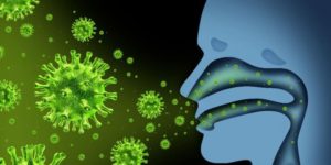 Virus de la gripe o influenza