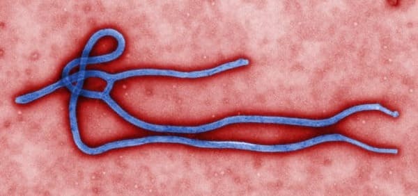 Cubre el seguro médico el Ébola en España