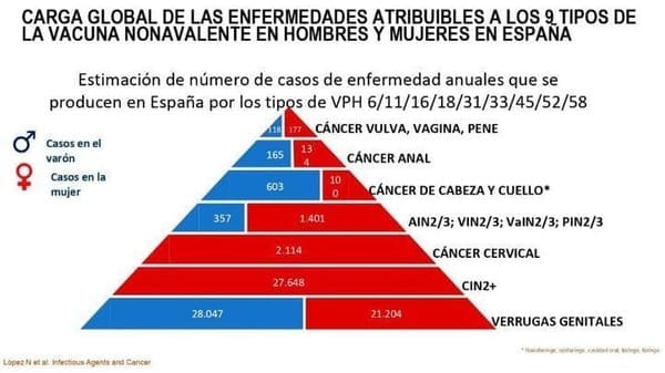 Papiloma Humano y el Seguro Médico en España