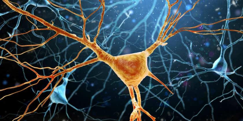 Las Enfermedades del Sistema Nervioso y el Seguro Médico en España
