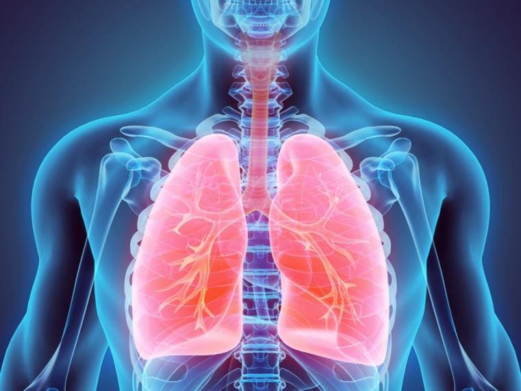 Las Enfermedades Respiratorias y el Seguro Médico en España