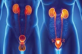 Síntomas de la Uretritis es España