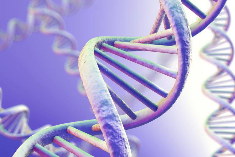 Enfermedades Cromosómicas o Genéticas y El Seguro Médico en España