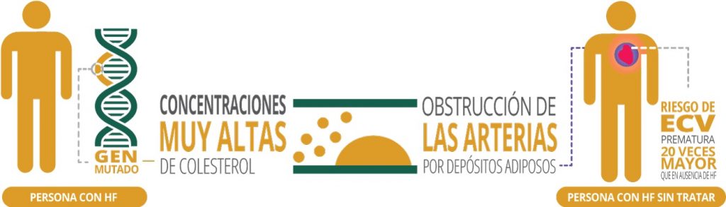 Que es La Hipercolesterolemia Familiar en España y el Seguro Médico