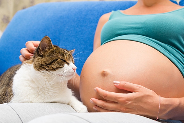 Toxoplasmosis en el embarazo en España