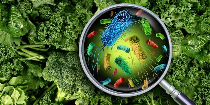 Listeriosis y el Seguro Medico en España