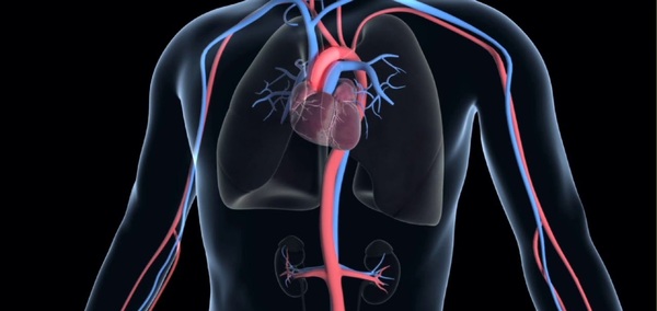 Aneurisma de Aorta y el Seguro Medico en España