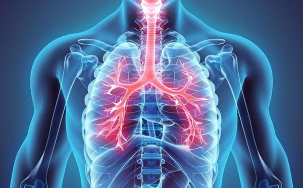 Enfermedad Pulmonar Obstructiva Crónica y el Seguro Medico en España
