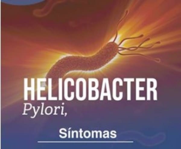 Helicobacter Pylori Bacteria Gástrica y el Seguro Medico en España