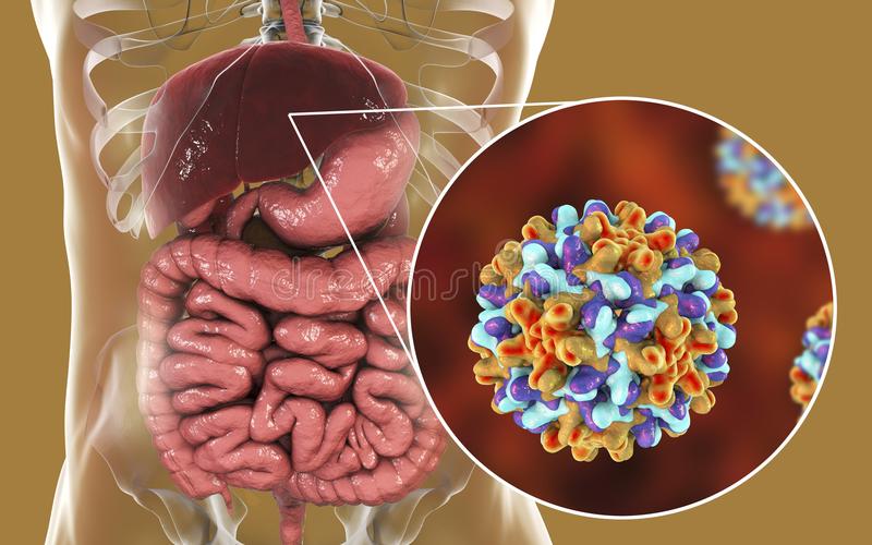La Hepatitis y el Seguro Medico en España
