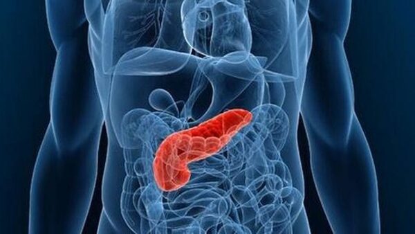 La Pancreatitis y el Seguro Medico en España