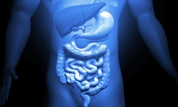Las Enfermedades Digestivas y el Seguro Medico en España