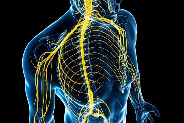 Lesión Medular Adquirida y el Seguro Medico en España