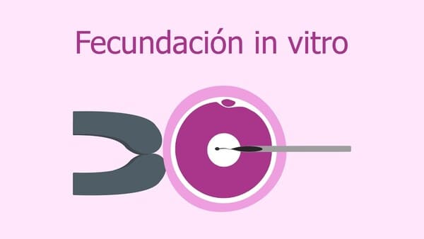 Unidad de Fecundación in vitro Clínica IVF-Life Alicante