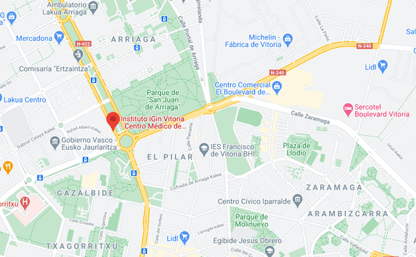 ¿Cómo llegar a Instituto iGin Vitoria Álava?