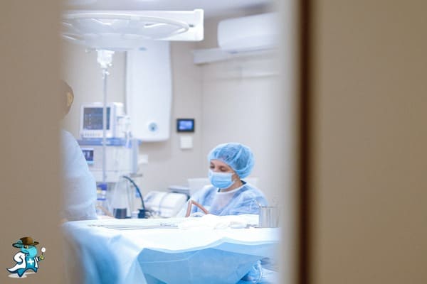 ¿Cuáles son las Exclusiones del Seguro Médico en España?