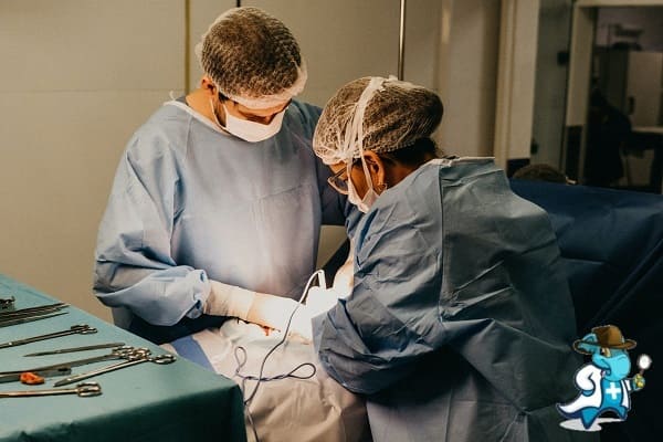 ¿Cuál es el Periodo de Carencia de un Seguro Médico en España?