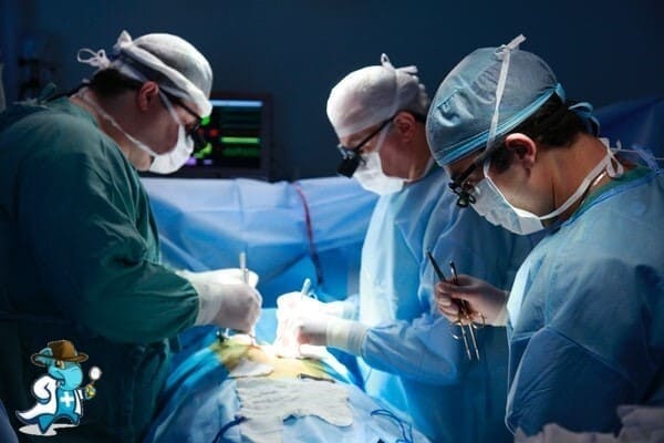 Cirugía Pediátrica del Hospital Quirónsalud Vitoria Álava