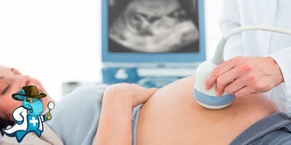 Mejor Seguro Médico que Cubra Ginecología y Obstetricia 2026 en España
