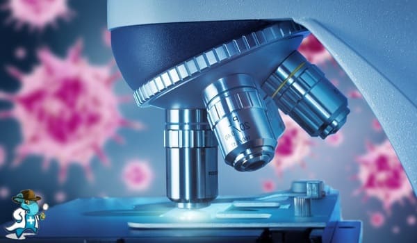 Mejor Seguro Médico que Cubra Hematología 2026 en España