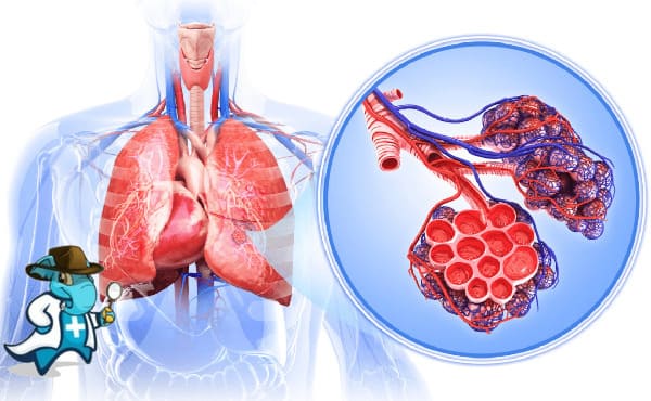 Mejor Seguro Médico que Cubra Trastornos de las Vías Respiratorias 2026 en España