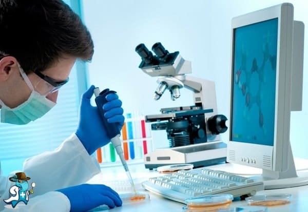 ¿Qué Carencia Tendría un Seguro Médico que Cubra Hematología en España?