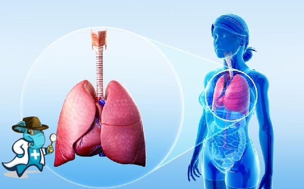 ¿Qué Carencia Tendría un Seguro Médico que Cubra Trastornos de las Vías Respiratorias en España?