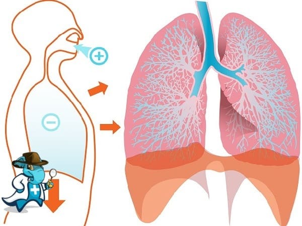 ¿Qué Exclusiones Tendría un Seguro Médico que Cubra Trastornos de las Vías Respiratorias en España?