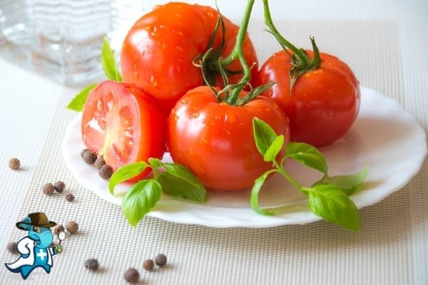 ¿Cubre el Seguro Médico la Alergia a los Tomates en España?