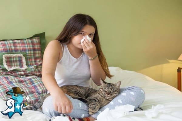 ¿Aumenta el Precio del Seguro Médico para una Persona con una Alergia a los Gatos en España?