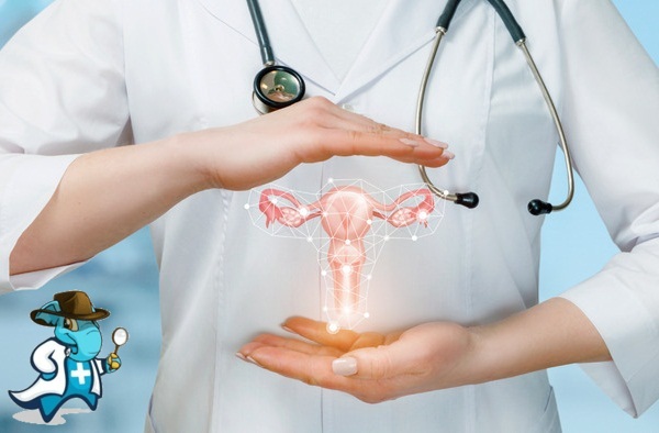 Ginecología y Obstetricia Hospital General de Elda Virgen de la Salud Alicante