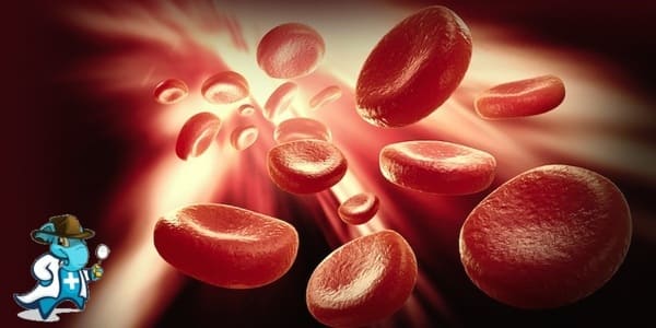 ¿Puedo Contratar un Seguro Médico si Tengo Hemofilia en España?