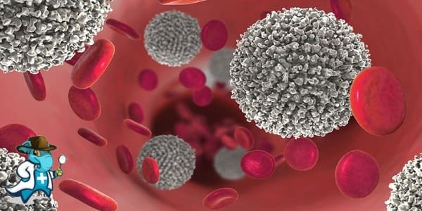 ¿Puedo Contratar un Seguro Médico si Tengo Leucemia en España?