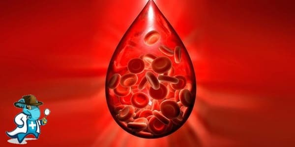¿Puedo Ocultar que Tengo Hemofilia para Contratar el Seguro Médico en España?