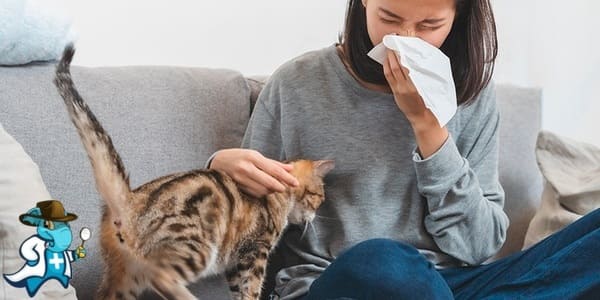 ¿Qué Exclusiones Tendría un Seguro Médico para una Persona con una Alergia a los Gatos en España?