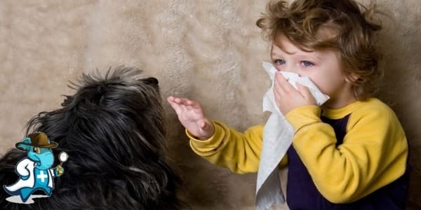 ¿Qué Exclusiones Tendría un Seguro Médico para una Persona con una Alergia a los Perros en España?
