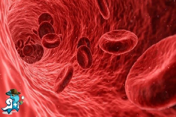 ¿Cubre el Seguro Médico el Tromboembolismo Venoso en España?