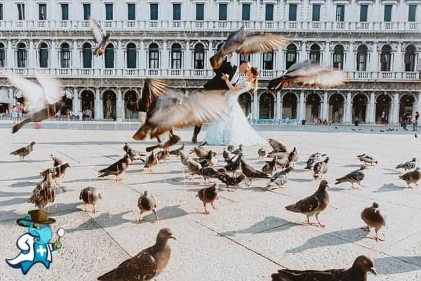 ¿Cubre el Seguro Médico la Alergia a las Palomas en España?