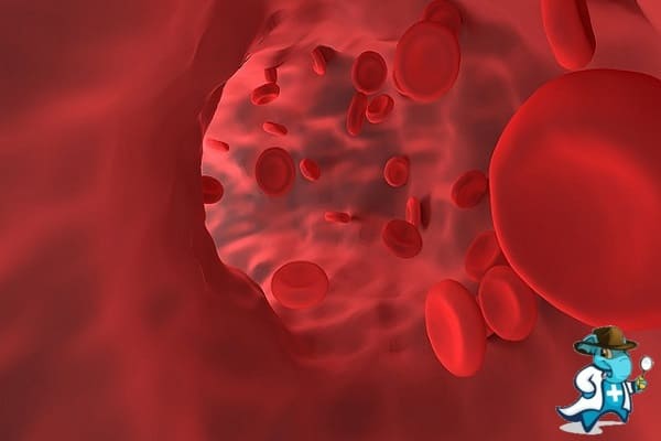 ¿Cubre el Seguro Médico las Hemoglobinopatías en España?