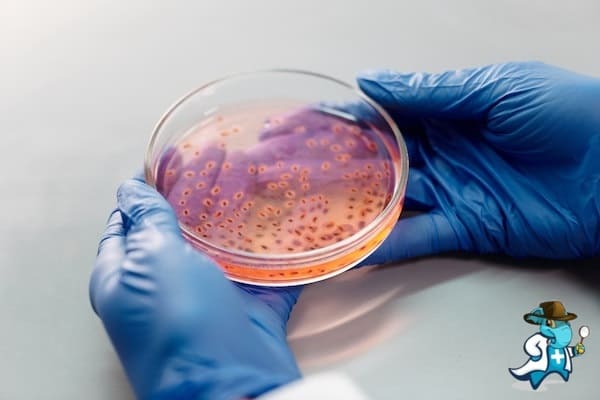 ¿Cubre el Seguro Médico los Desórdenes Eosinofílicos en España?