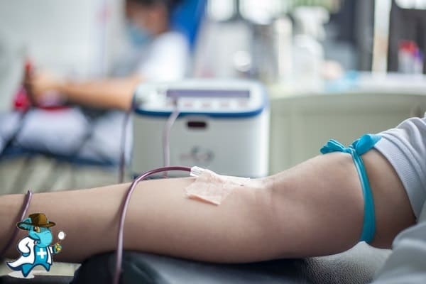 ¿Puedo Ocultar que Tengo Leucopenia para Contratar el Seguro Médico en España?