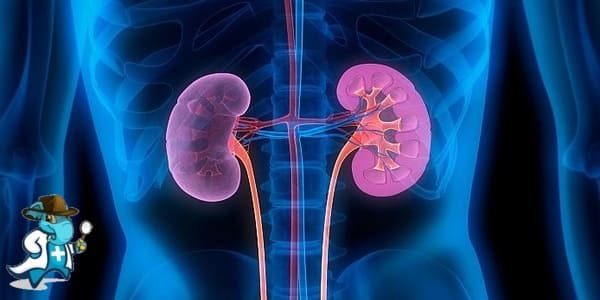 ¿Cubre el Seguro Médico la Insuficiencia Renal Crónica en España?