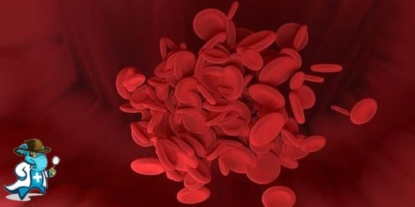 ¿Puedo Ocultar que Tengo Anemia Perniciosa para Contratar el Seguro Médico en España?
