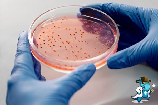 ¿Cubre el Seguro Médico el Micoplasma Genital en España?