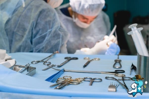¿Puedo Contratar un Seguro Médico si Tengo Chancroide en España?