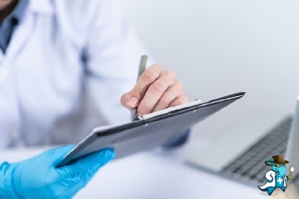 ¿Puedo Ocultar que Tengo Linfadenopatía para Contratar el Seguro Médico en España?