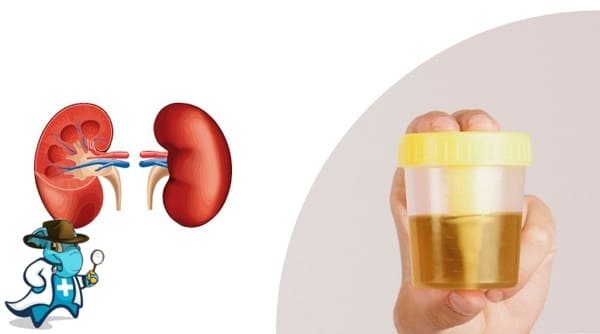 ¿Cubre el Seguro Médico la Cistinosis en España?