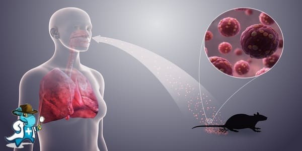¿Cubre el Seguro Médico el Hantavirus en España?