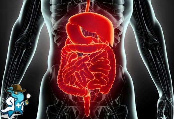 Aparato Digestivo en el Hospital Vithas San José Álava