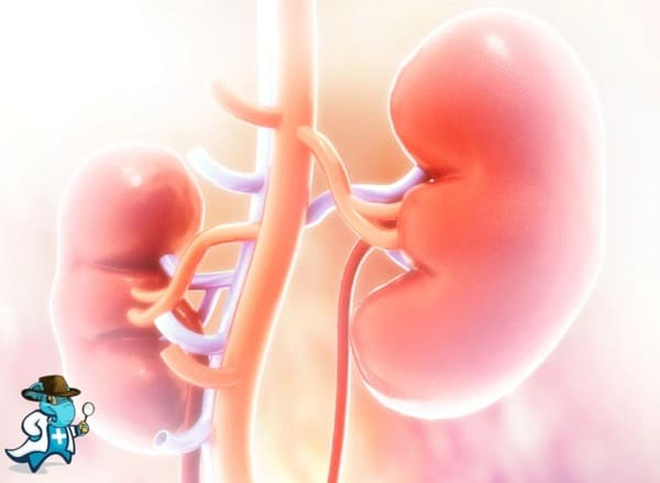 ¿Cubre el Seguro Médico el Síndrome de Alport en España?